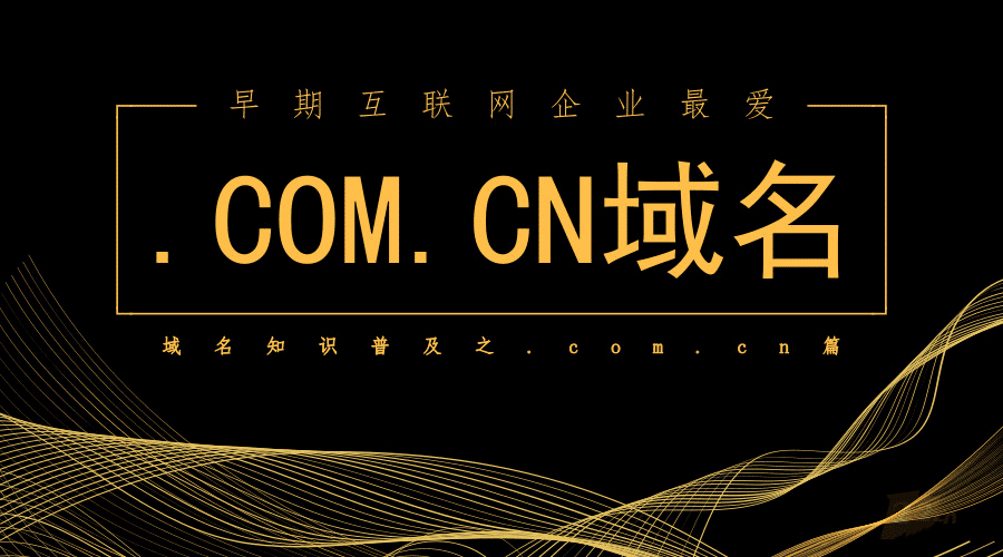 早期互联网企业最爱.com.cn域名简介